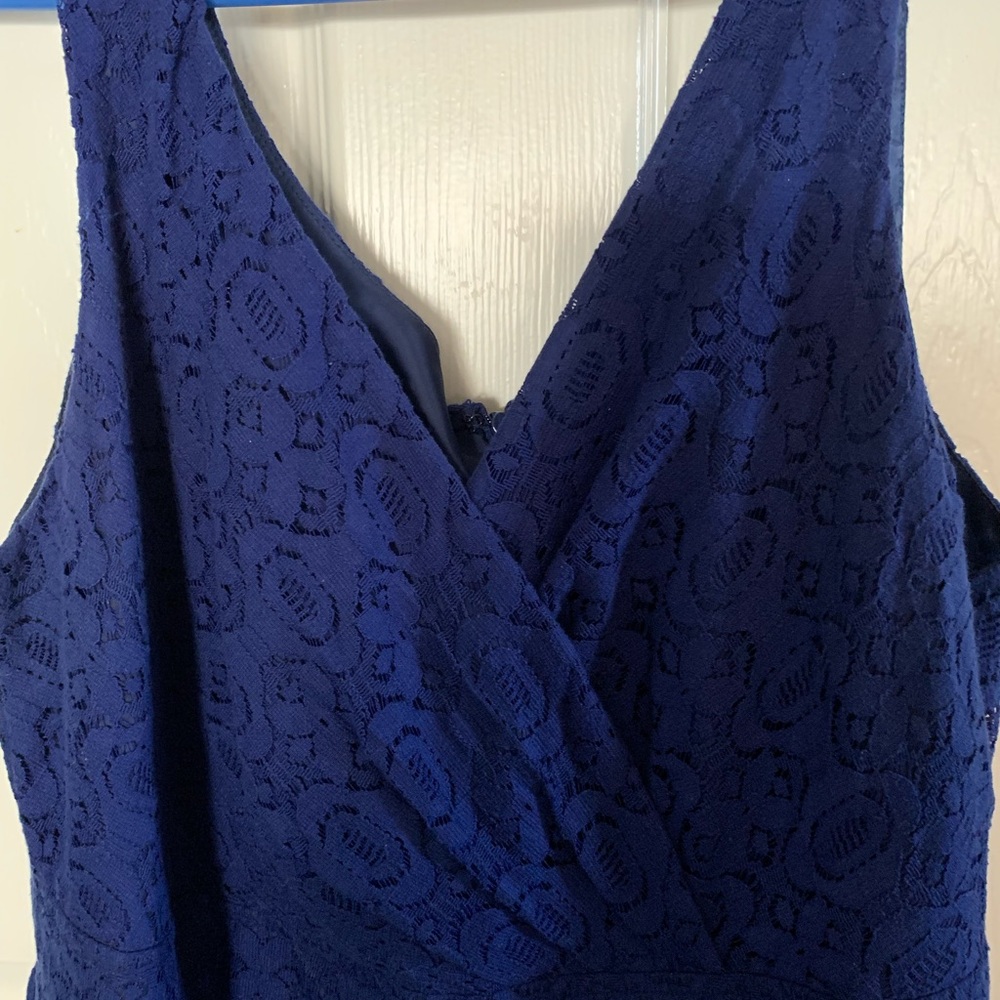 Robbie Lee Blue Lace V Neck Skater Dress